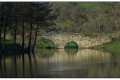 bernard_b pont